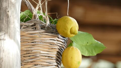 Limones en Sorrento, Costa Amalfitana