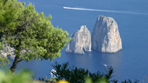 Capri