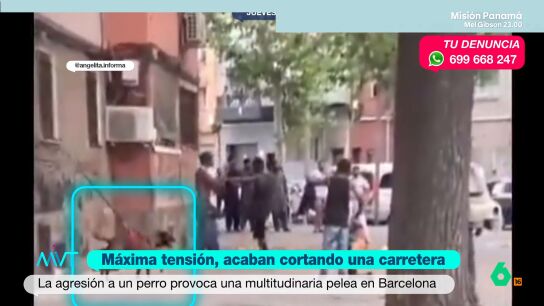 Una pelea multitudinaria tras la agresi&oacute;n a un perro acaba con una carretera cortada en Badalona