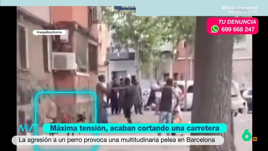 Una pelea multitudinaria tras la agresión a un perro acaba con una carretera cortada en Badalona Una pelea multitudinaria tras la agresión a un perro acaba con una carretera cortada en Badalona