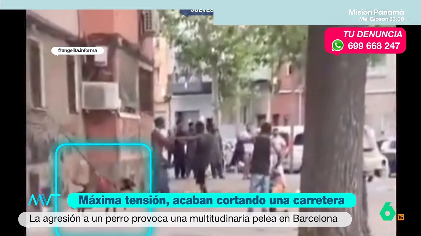 Una pelea multitudinaria tras la agresión a un perro acaba con una carretera cortada en Badalona Una pelea multitudinaria tras la agresión a un perro acaba con una carretera cortada en Badalona