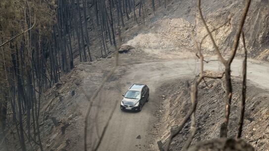 Lo que debes y no debes hacer si te encuentras un incendio en carretera