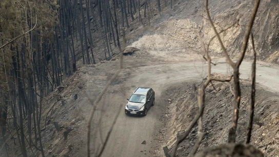 Lo que debes y no debes hacer si te encuentras un incendio en carretera Lo que debes y no debes hacer si te encuentras un incendio en carretera