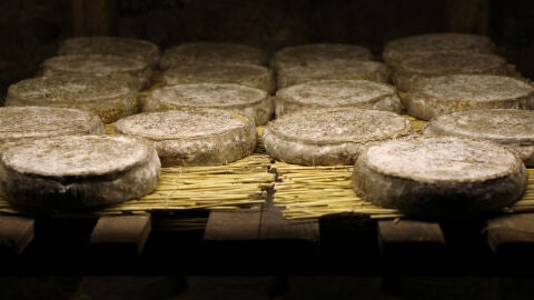 Auvernia queso