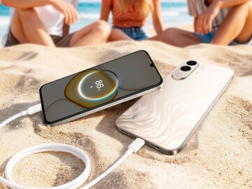Realme C100x