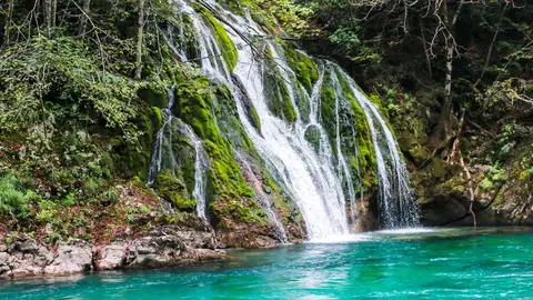 Pequeña cascada en el río Tara Pequeña cascada en el río Tara