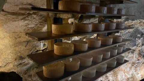 Cabrales queso