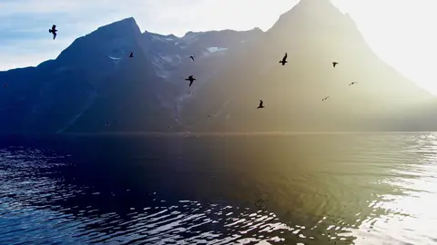 Hjorundfjord Hjorundfjord