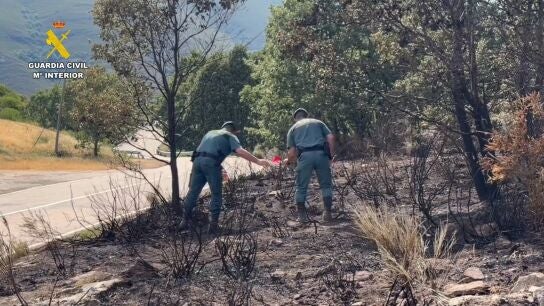 Detenido un hombre e investigado otro por presuntamente provocar 15 incendios en la provincia de Zamora