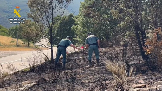 Detenido un hombre e investigado otro por presuntamente provocar 15 incendios en la provincia de Zamora Detenido un hombre e investigado otro por presuntamente provocar 15 incendios en la provincia de Zamora