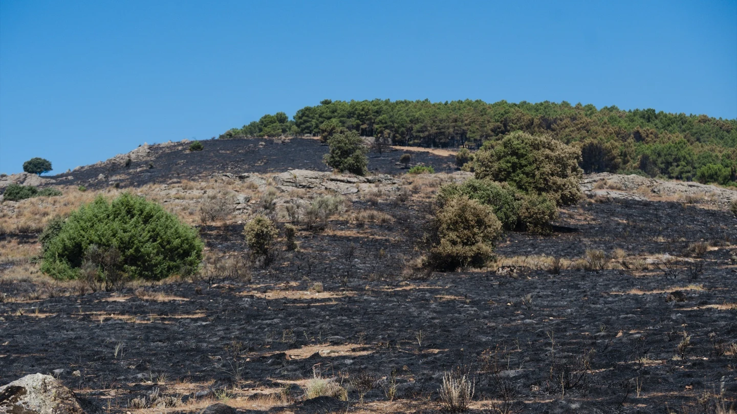 Terreno quemado por el incendio en Lozoyuela, Madrid (España). Terreno quemado por el incendio en Lozoyuela, Madrid (España).