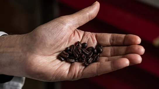 Granos de café Granos de café