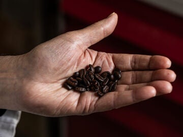 Granos de caf&eacute;