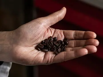 Granos de café Granos de café