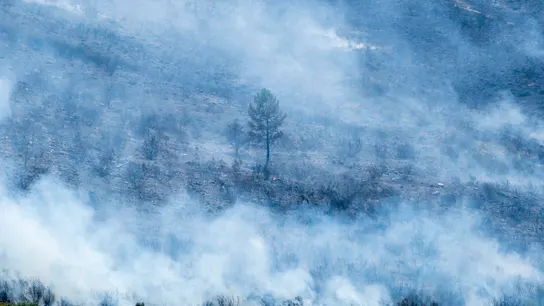 Imagen del incendio de La Mierla, en Guadalajara Imagen del incendio de La Mierla, en Guadalajara