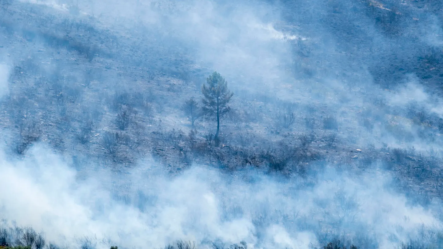 Imagen del incendio de La Mierla, en Guadalajara Imagen del incendio de La Mierla, en Guadalajara
