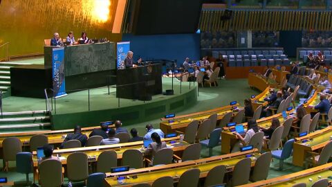 Fernando Grande-Marlaska en la ONU