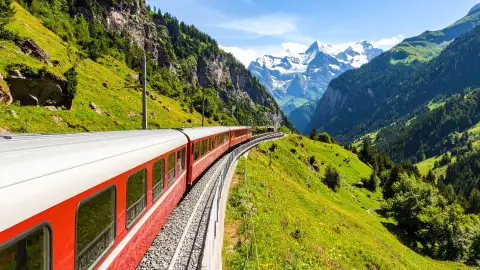 Tren Tren