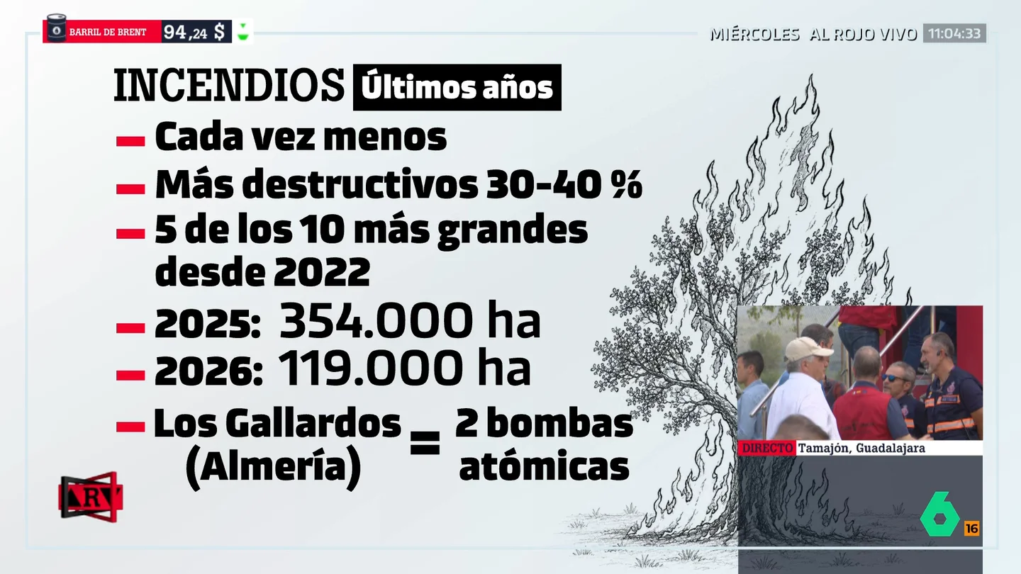 Cacho Cacho
