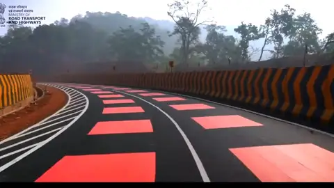 India pinta de rojo sus autopistas para evitar los atropellos de animales. India pinta de rojo sus autopistas para evitar los atropellos de animales.