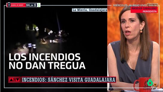 &aacute;ngeles caballero