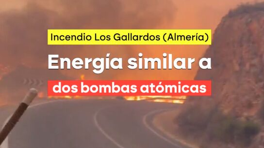 Bomberos y agentes forestales exigen cambios radicales en las pol&iacute;ticas de prevenci&oacute;n de incendios: "No se est&aacute; asumiendo que el fuego no es como antes"