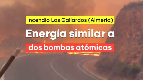 Bomberos y agentes forestales exigen cambios radicales en las pol&iacute;ticas de prevenci&oacute;n de incendios: "No se est&aacute; asumiendo que el fuego no es como antes"