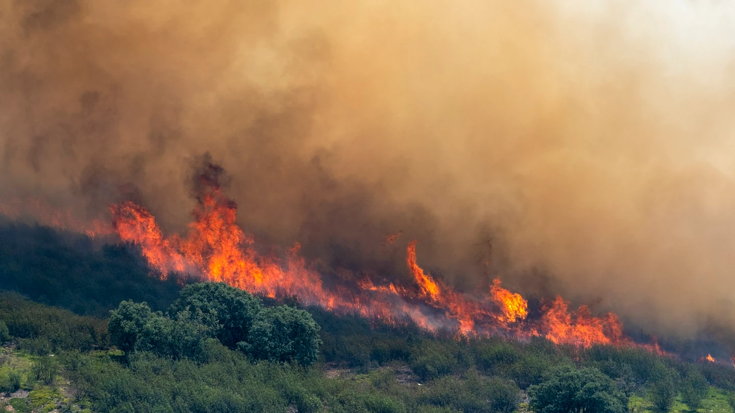 Imagen del incendio declarado en la Sierra Norte de Guadalajara, que ha quemado ya 29.000 hectáreas Imagen del incendio declarado en la Sierra Norte de Guadalajara, que ha quemado ya 29.000 hectáreas