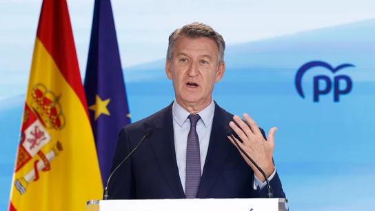 El líder del PP, Alberto Núñez Feijóo, durante su comparecencia de balance de fin de curso político El líder del PP, Alberto Núñez Feijóo, durante su comparecencia de balance de fin de curso político