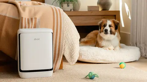 Levoit Vital Pet Pro Levoit Vital Pet Pro