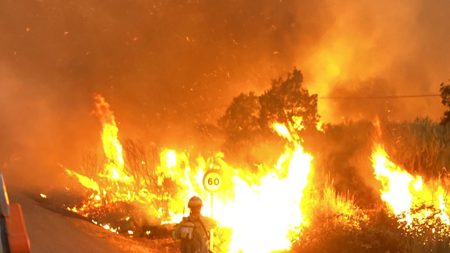 Las llamas del incendio forestal de R&aacute;bano de Aliste (Zamora)