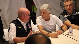 Fernando Grande-Marlaska habla con el delegado del Gobierno, Fran Mart&iacute;n Aguirre, durante la reuni&oacute;n en el Cecopi 