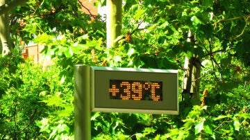 Temperaturas altas