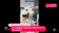 Un inquilino entra en c&oacute;lera y destroza una inmobiliaria despu&eacute;s de que se nieguen a renovarle el alquiler