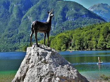 Lago Bohinj Lago Bohinj