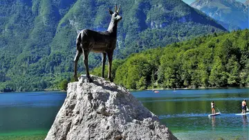 Lago Bohinj Lago Bohinj