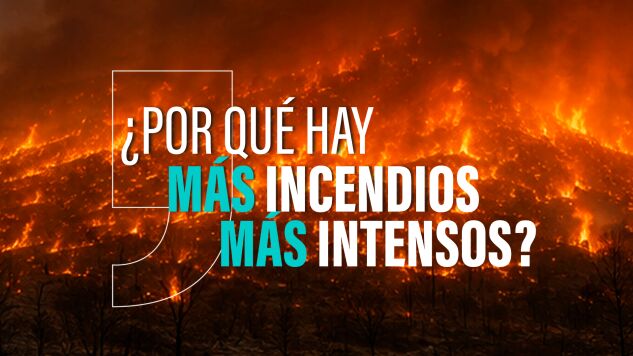 &iquest;Por qu&eacute; ahora los incendios son m&aacute;s intensos y destructivos? La peligrosa mezcla de la vegetaci&oacute;n y la sequedad