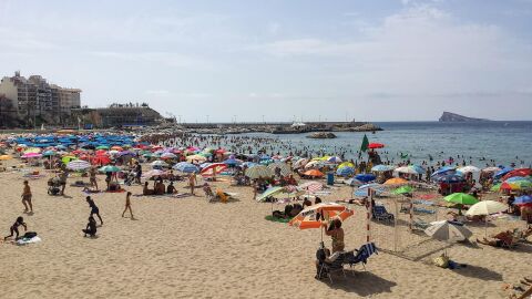 Playa de Benidorm con la isla al fondo a la derecha