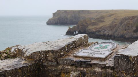 Barafundle Bay
