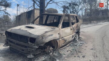 Coche calcinado por los incendios