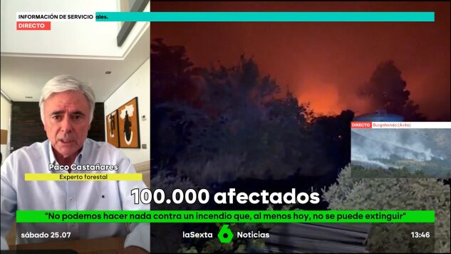 paco-experto
