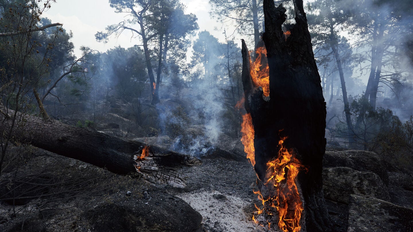 Zonas quemadas en los alrededores del embalse de El Burguillo por el incendio que se origin&oacute; en Burgohondo (&Aacute;vila)