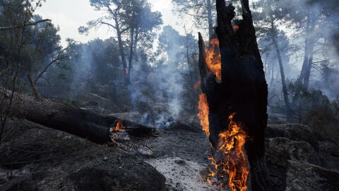 Zonas quemadas en los alrededores del embalse de El Burguillo por el incendio que se origin&oacute; en Burgohondo (&Aacute;vila)