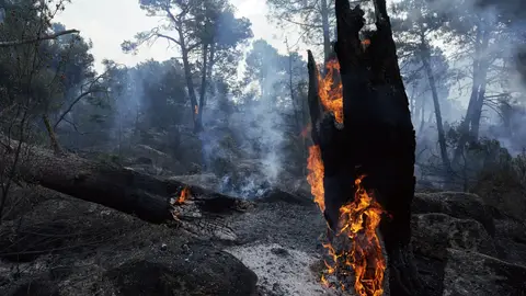 Zonas quemadas en los alrededores del embalse de El Burguillo por el incendio que se originó en Burgohondo (Ávila) Zonas quemadas en los alrededores del embalse de El Burguillo por el incendio que se originó en Burgohondo (Ávila)