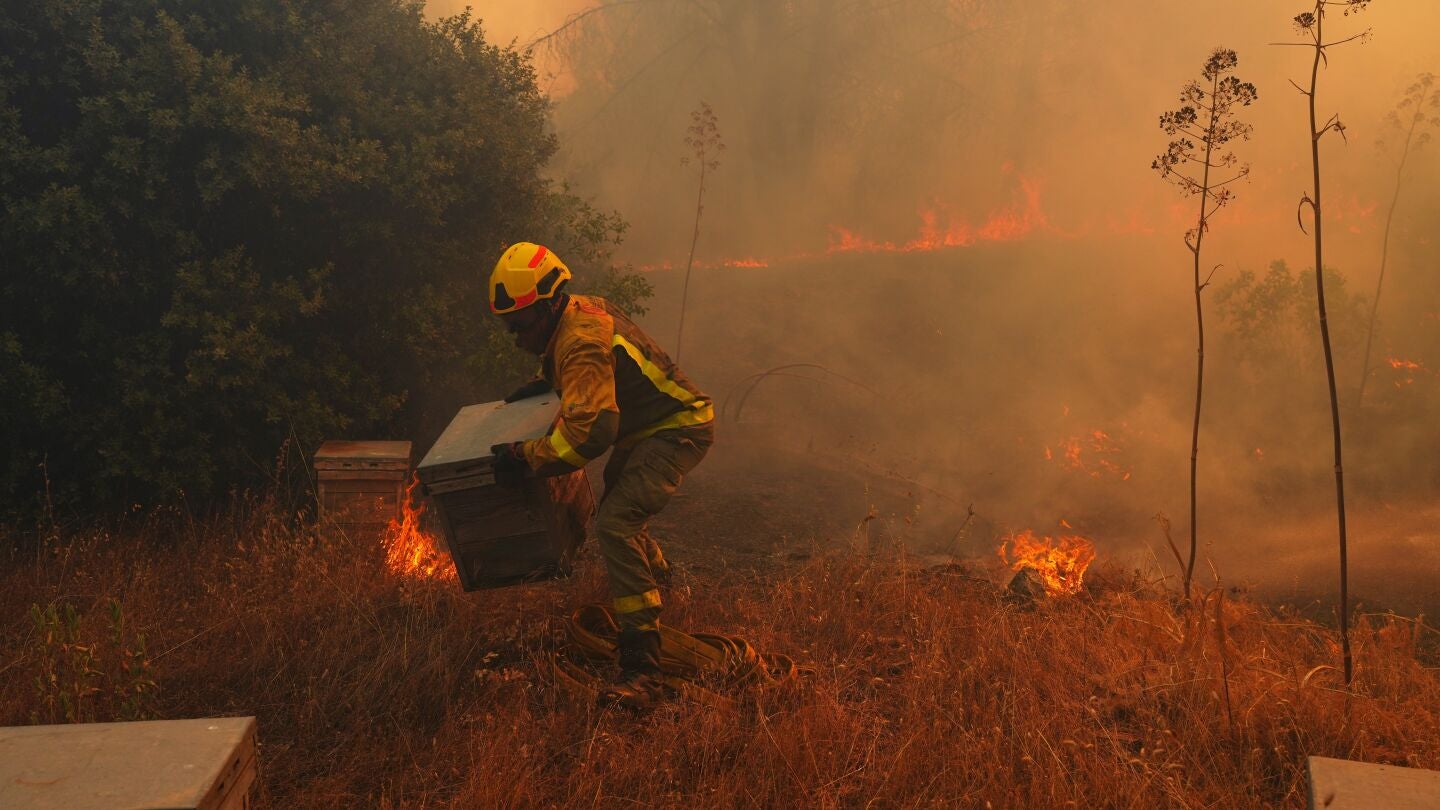 Bomberos combaten un incendio forestal en San Martín de Valdeiglesias, al oeste de Madrid.