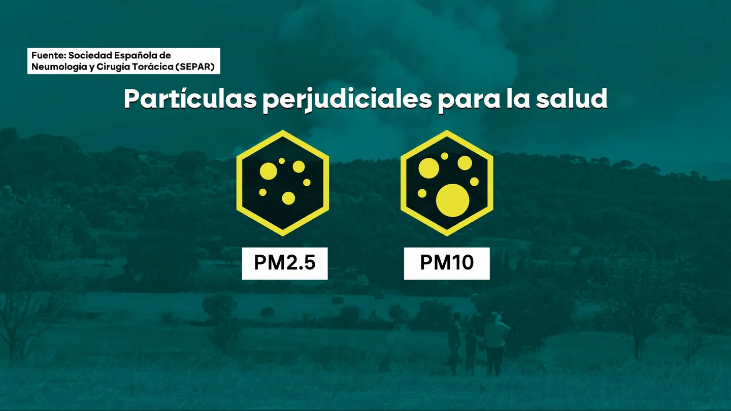 El peligro para la salud de respirar el aire de los incendios que arrasan España. El peligro para la salud de respirar el aire de los incendios que arrasan España.