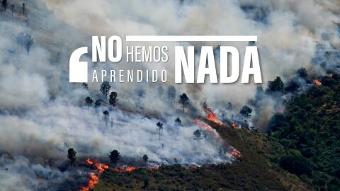 No hemos aprendido nada: cada verano el desastre se repite y la prevenci&oacute;n en incendios sigue como asignatura pendiente