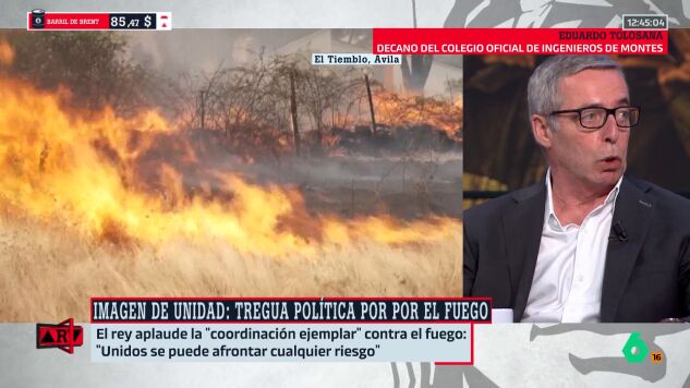 Decano