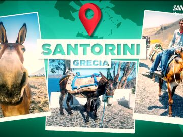 V&iacute;ctor Algra explica por qu&eacute; se est&aacute; cuestionando el uso de burros en tur&iacute;sticos en Santorini