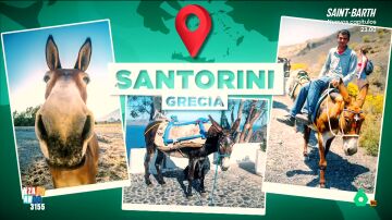 V&iacute;ctor Algra explica por qu&eacute; se est&aacute; cuestionando el uso de burros en tur&iacute;sticos en Santorini